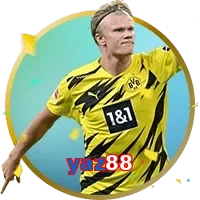 yaz88