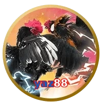 yaz88