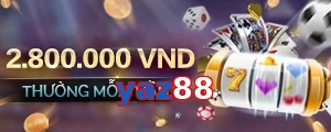 yaz88