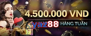 yaz88