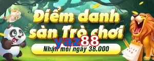 yaz88