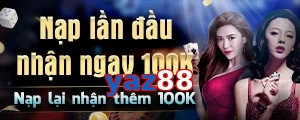 yaz88