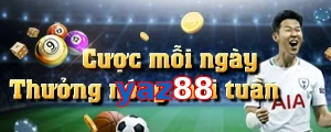 yaz88